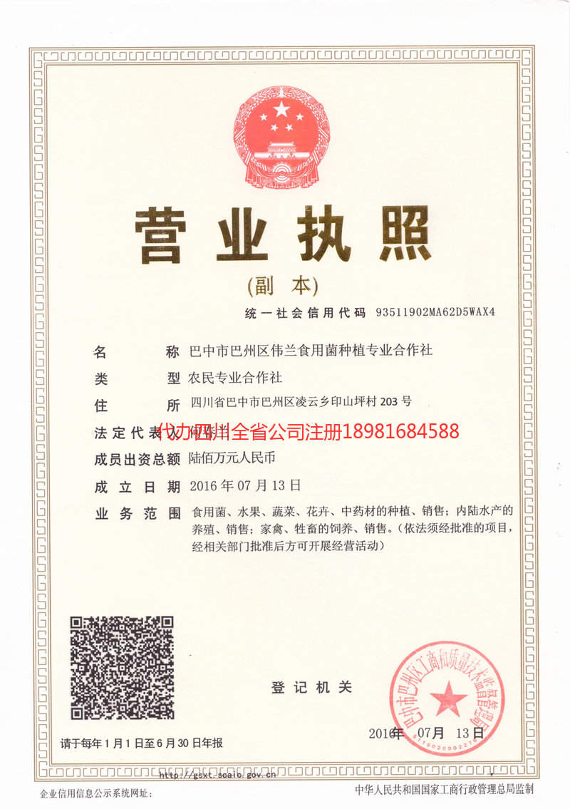 钟祥钟祥伟兰食用菌种植专业合作社